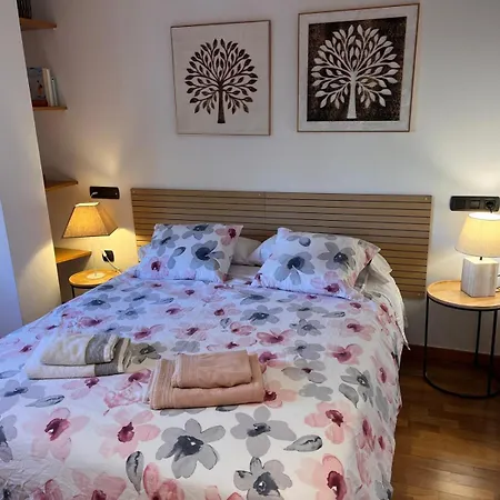Apartment Piso Centrico Y Acogedor Figueres (Girona)